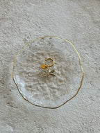 Libellule