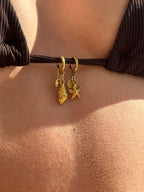 Coquillage