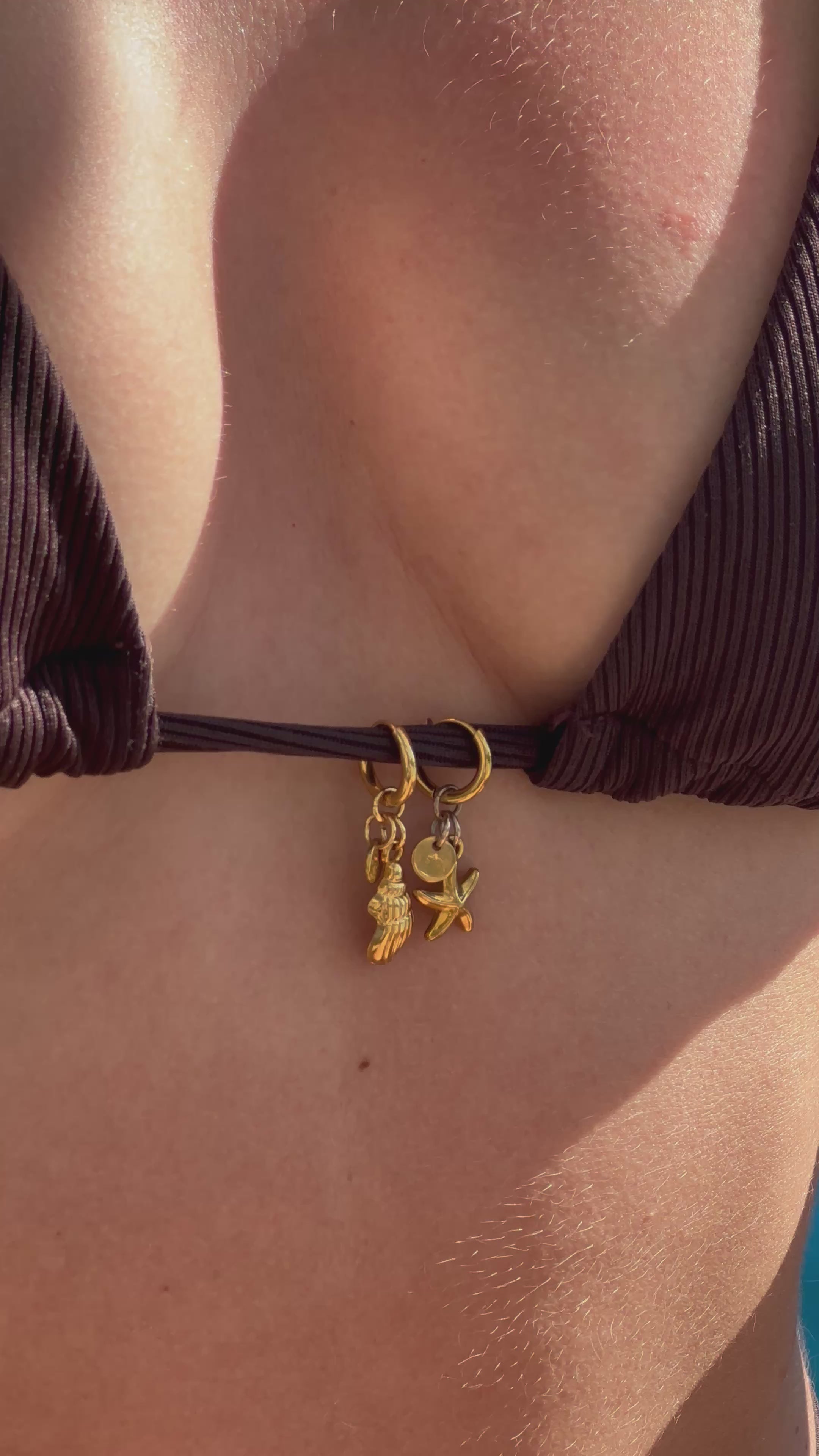 Coquillage